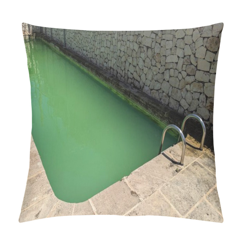 Personality  Swimming Pool With Green Water Due To Lack Of Chlorine Or Algae Proliferation. Pillow Covers