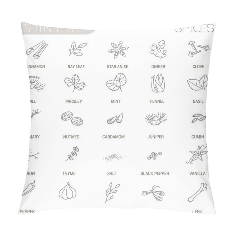 Personality  Herbs And Spices Icons Set Pillow Covers