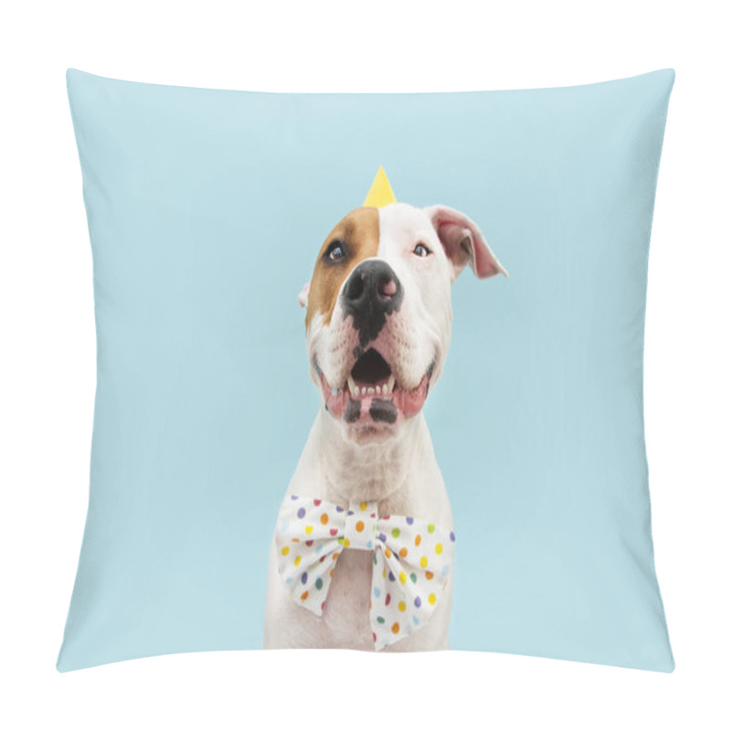 Personality  Happy American Staffordshire  Dog Celebrating Birthday Or Carnival Wearing Party Hat And Bowtie. Isolated On Blue Colored Background. Pillow Covers