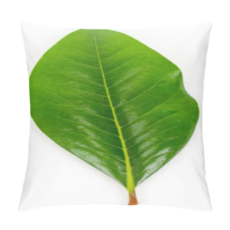 Personality  Leaf Pillow Covers