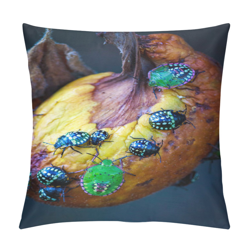 Personality  Nezara Viridula Green Shield Bug Southern Stink Pillow Covers