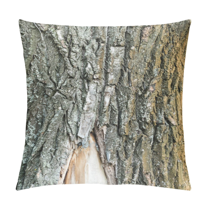 Personality  Close Up View Of Textured Bark Of Aging Tree, Ecology Concept Pillow Covers