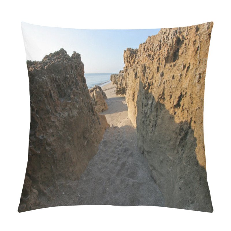 Personality  Blowing Rocks Preserve On Jupiter Island, Florida. Pillow Covers