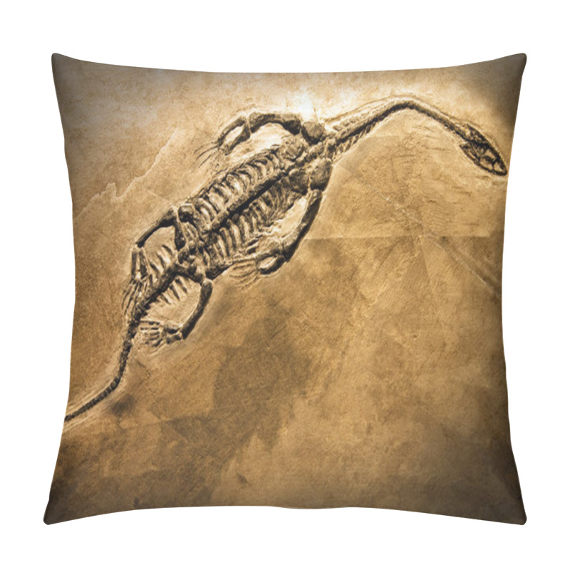 Personality  Fossil Of A Prehistoric Creature. Pillow Covers