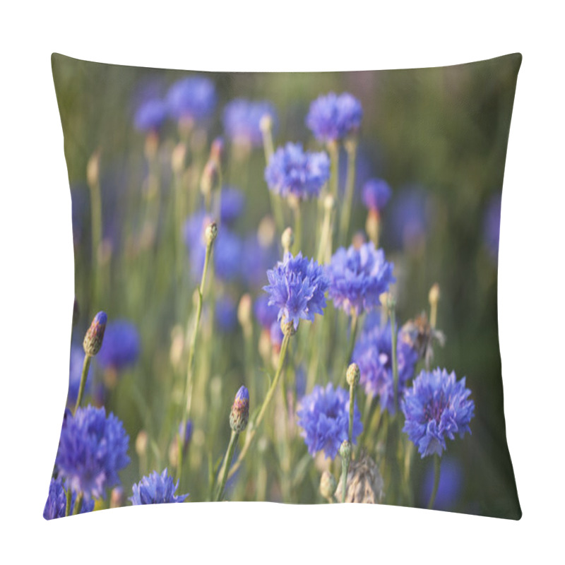 Personality  Cornflowers Pillow Covers