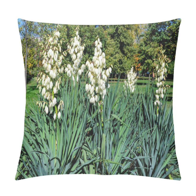 Personality  Many Delicate White Flowers Of Yucca Plant, Commonly Known As Adams Needle And Thread, In A Garden In A Sunny Summer Day, Beautiful Outdoor Floral Background Pillow Covers