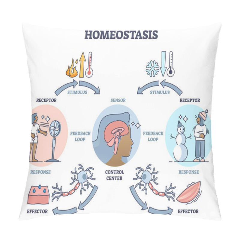 Personality  Homeostasis As Biological State With Temperature Regulation Outline Diagram Pillow Covers