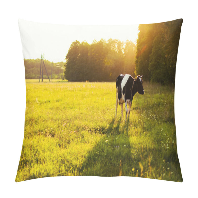 Personality  Cow On Green Grass And Evening Sky Pillow Covers