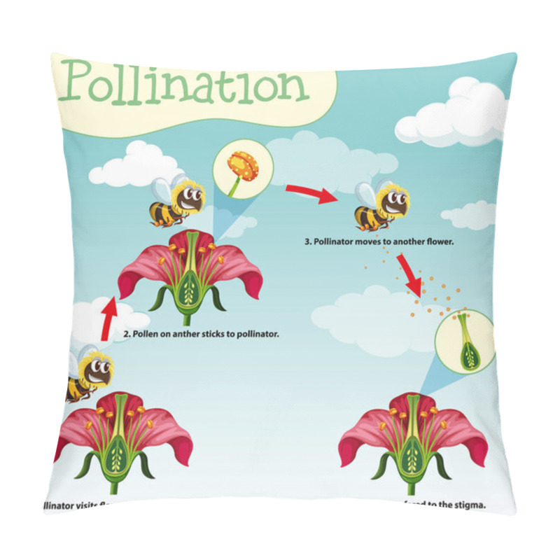 Personality  Diagram Showing Pollination With Bee And Flowers Pillow Covers