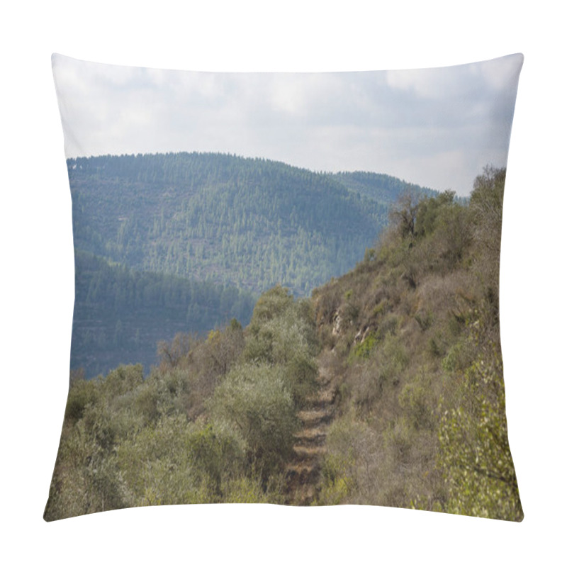 Personality  Olives Olive Trees In The Mountains Of Jerusalem. Pillow Covers