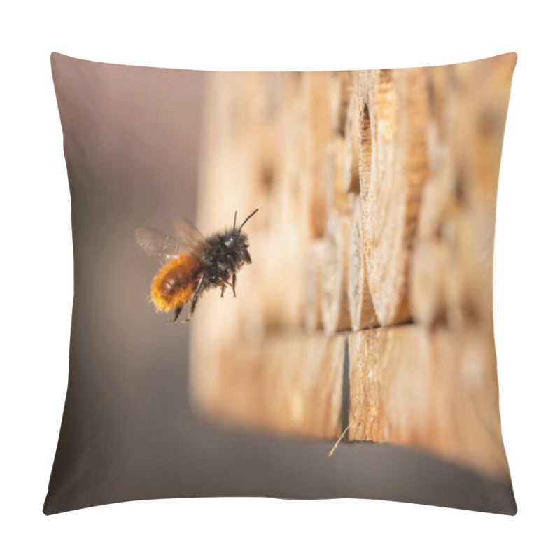 Personality  Osmia Wall Bee Flying In Front Of Nest, Sunny Day In Spring, Vienna (Austria) Pillow Covers