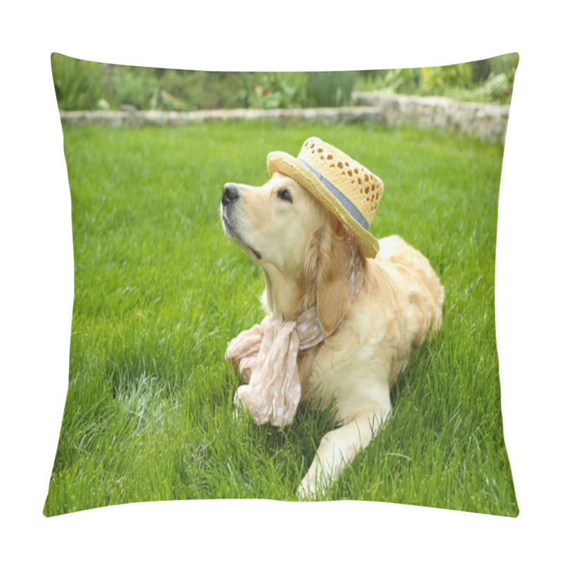 Personality  Adorable Labrador In Hat And Scarf  On Green Grass, Outdoors Pillow Covers