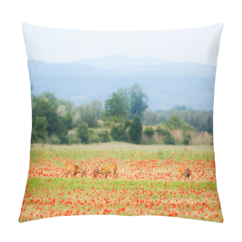 Personality  Two Roebucks Fighting For Attention Of A Female Deer Pillow Covers