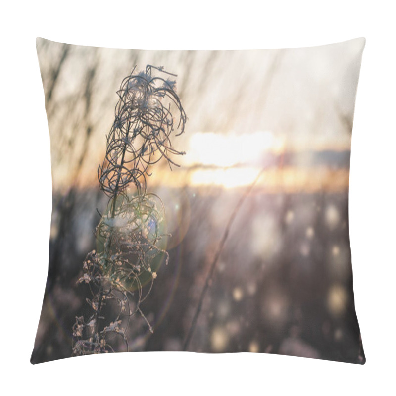 Personality  Plant On A Sunny Day In December. Pillow Covers