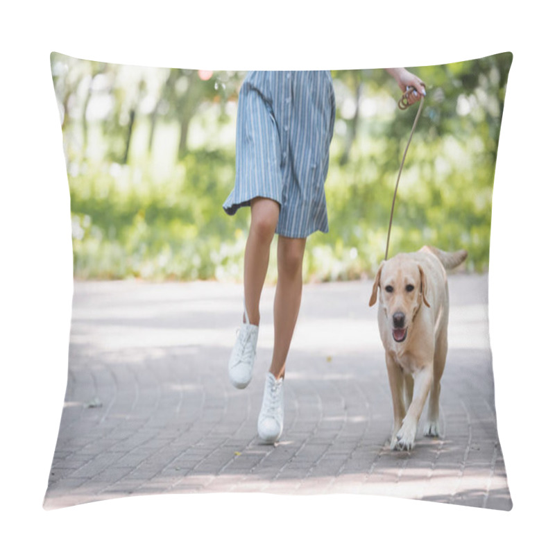 Personality  Cropped View Of Woman Running In Park With Labrador Dog On Leash Pillow Covers