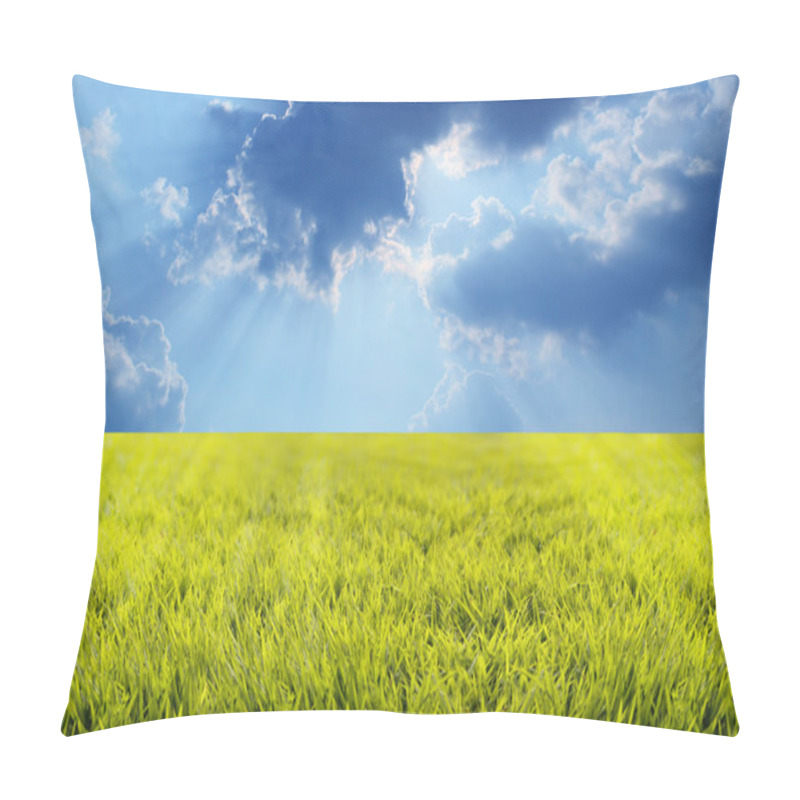 Personality  Grass Land Sunbeams And Beautiful Sky Pillow Covers