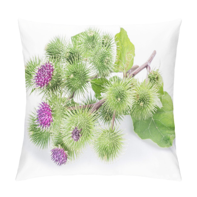 Personality  Prickly Heads Of Burdock Flowers On A White Background. Pillow Covers