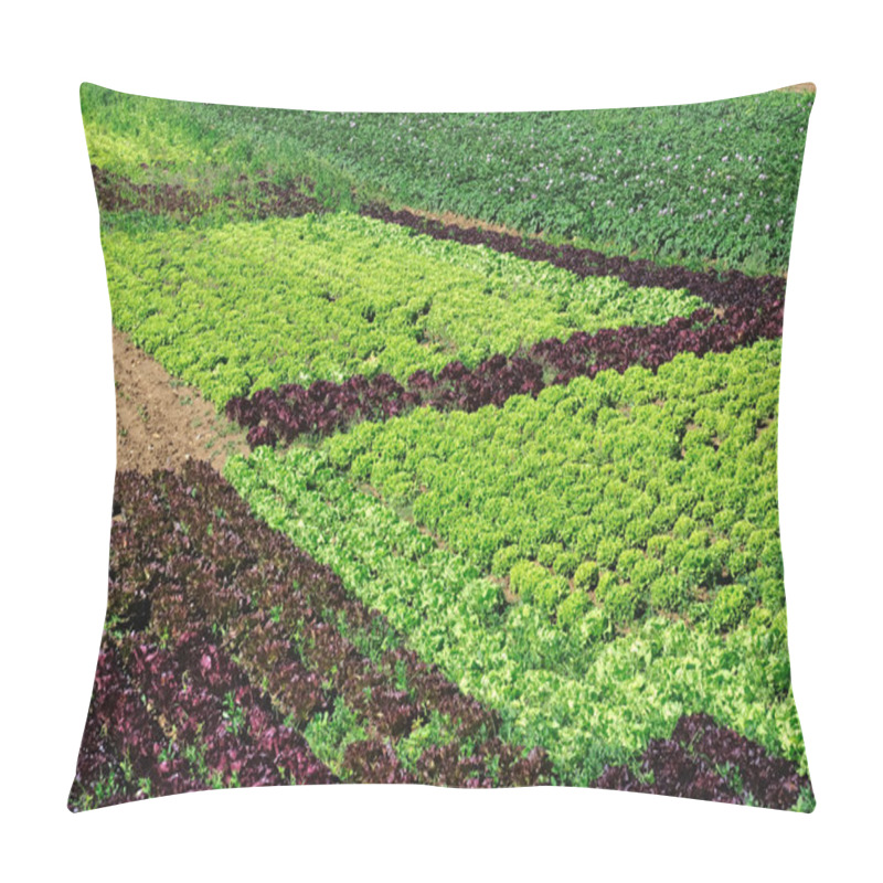 Personality  Market Garden Pillow Covers