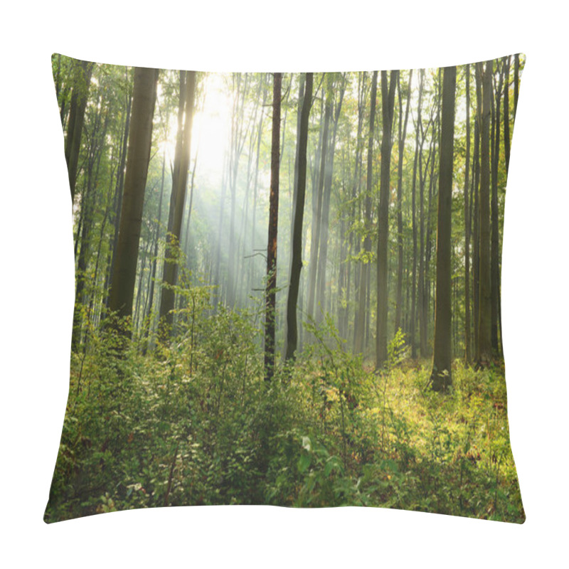 Personality  Beautiful Morning Sunbeams In Misty Forest Pillow Covers