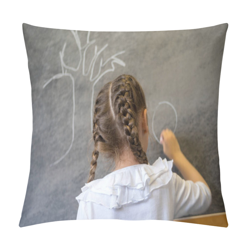 Personality  Elementary Student Drawing On Blackboard Pillow Covers