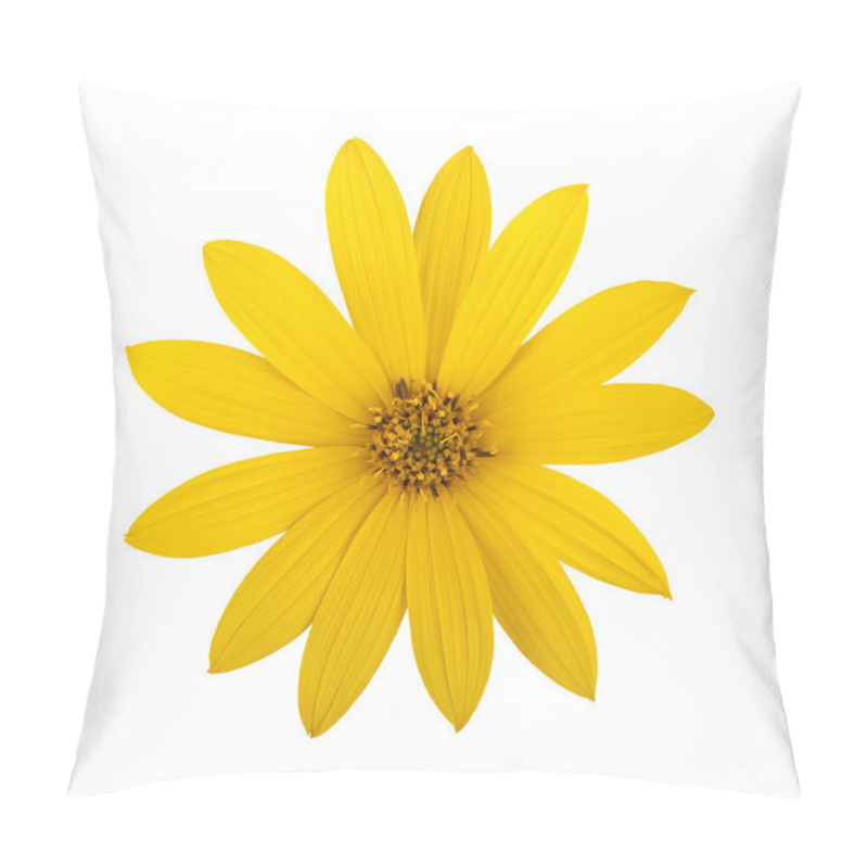 Personality  Topinambur Pillow Covers