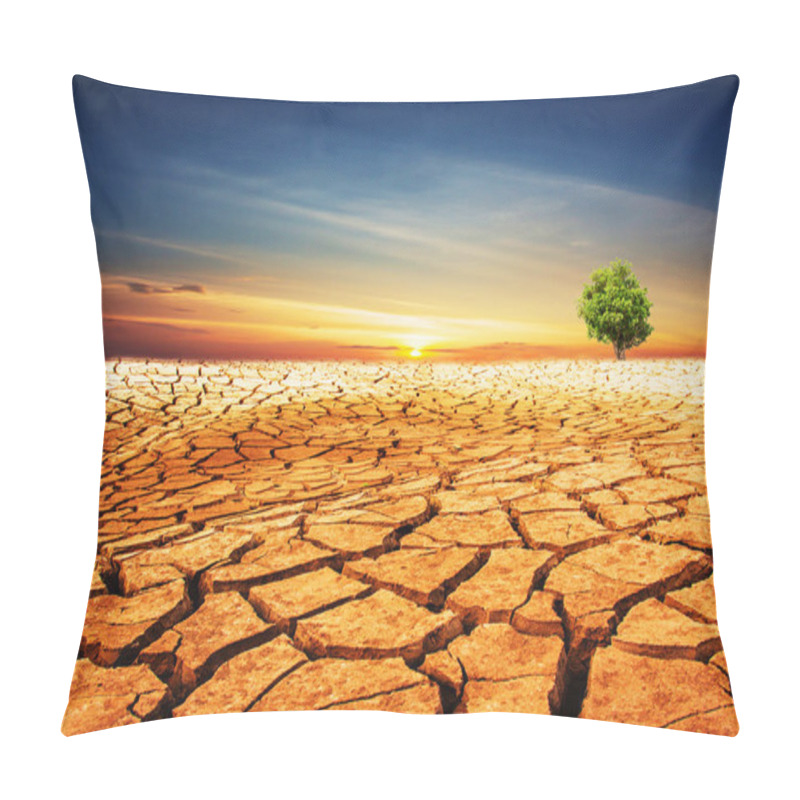 Personality  Single Tree On Drought Earth Pillow Covers