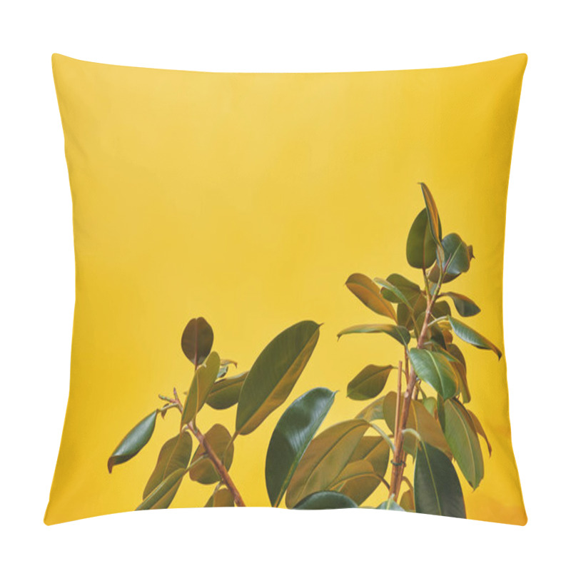 Personality  Close Up Of Green Ficus Leaves On Yellow Background Pillow Covers