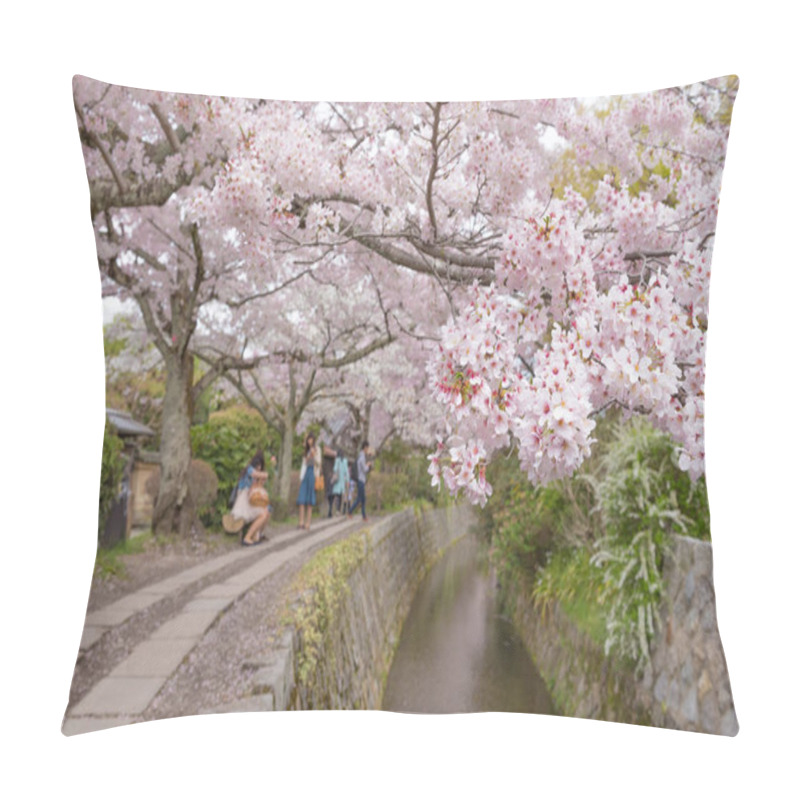 Personality  Philosopher's Walk With Sakura (cherry Blossom)  In The Springti Pillow Covers