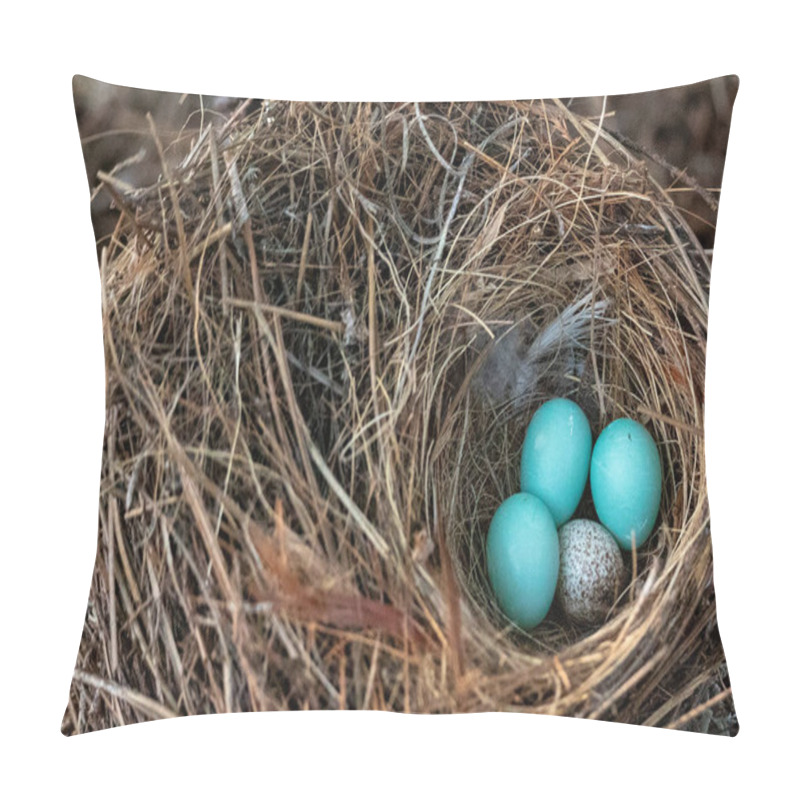 Personality  Three Eastern Bluebird Eggs Sialia Sialis In A Nest With A Speckled Brown Headed Cowbird Egg Molothrus Ater In Naples, Florida Pillow Covers