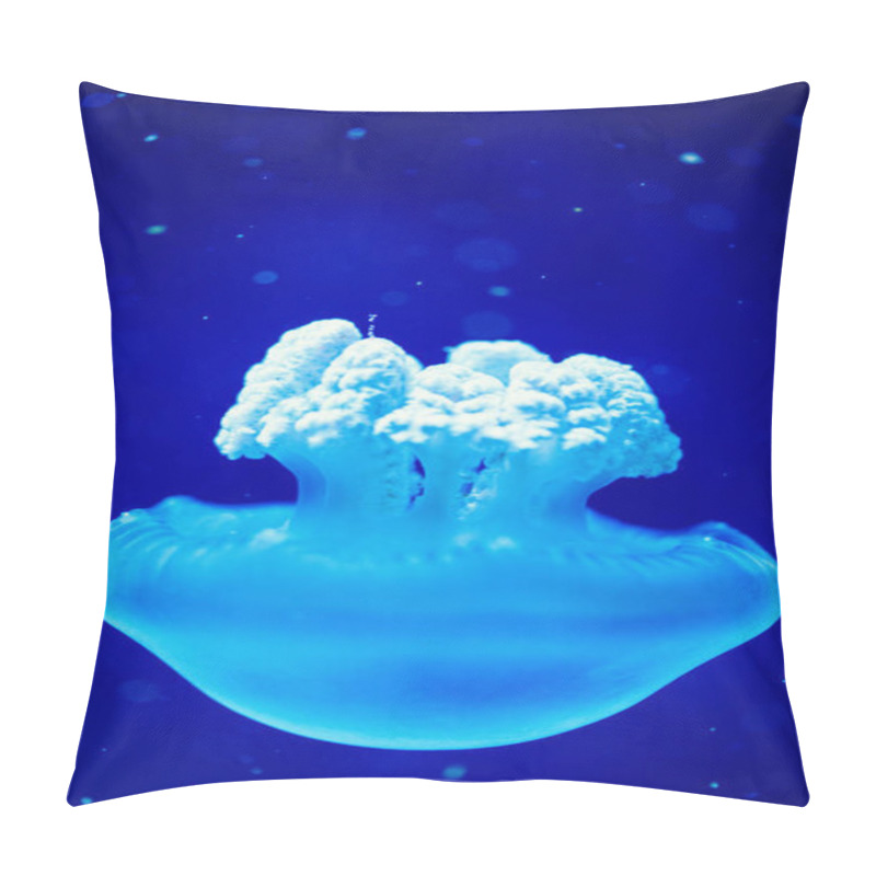 Personality  Beautiful Jellyfish, Medusa In The Neon Light With The Fishes. Underwater Life In Ocean Jellyfish. Pillow Covers