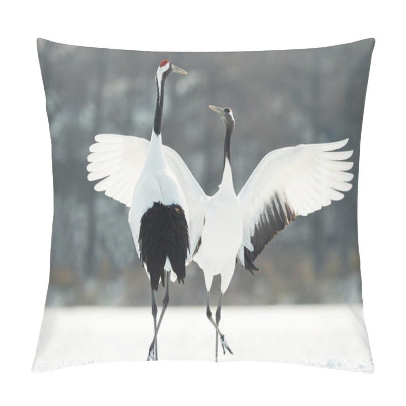 Personality  The Ritual Marriage Dance Of Cranes. The Red-crowned Cranes. Scientific Name: Grus Japonensis, Also Called The Japanese Crane Or Manchurian Crane, Is A Large East Asian Crane. Pillow Covers