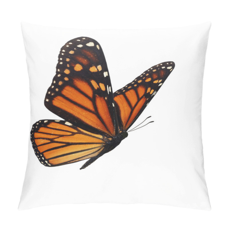 Personality  Beautiful Monarch Butterfly Isolated On White Background. Pillow Covers