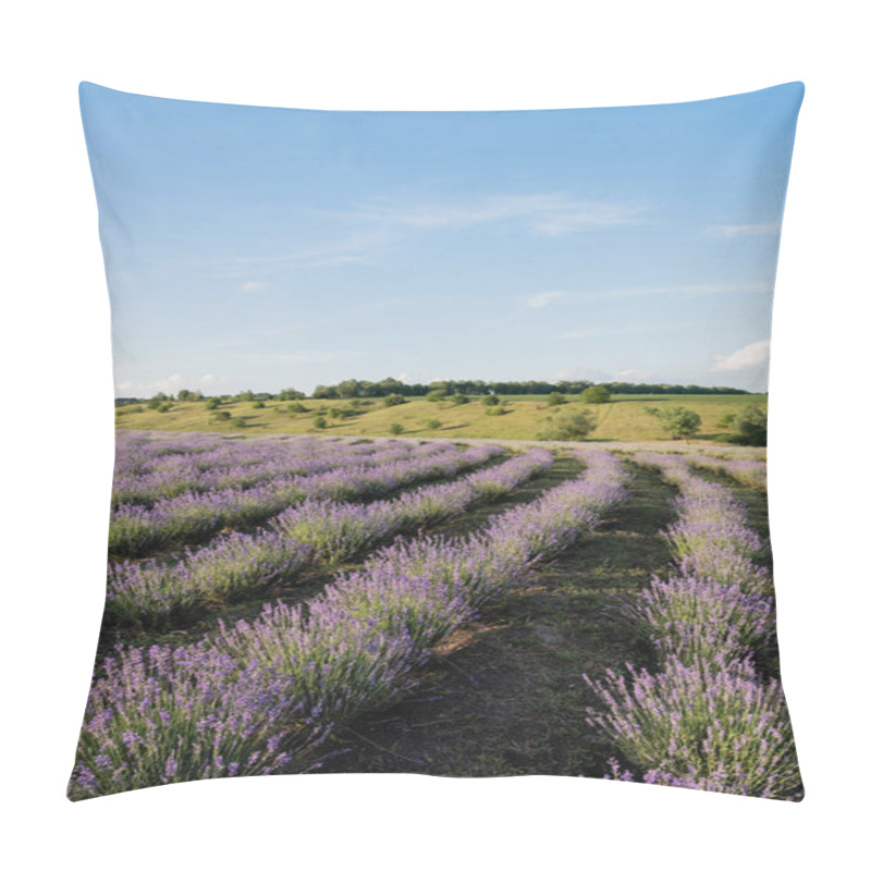 Personality  Blooming Lavender Bushes Under Blue Sky In Farmland Pillow Covers