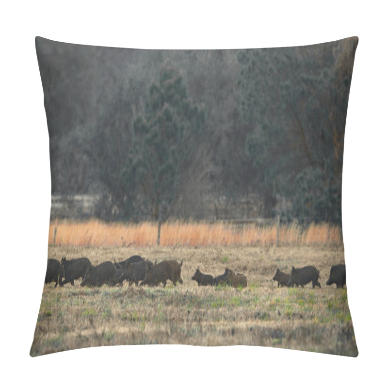 Personality  A Passle Herd Of Wild Hogs Roaming A Grassy Meadow In Central Florida Pillow Covers