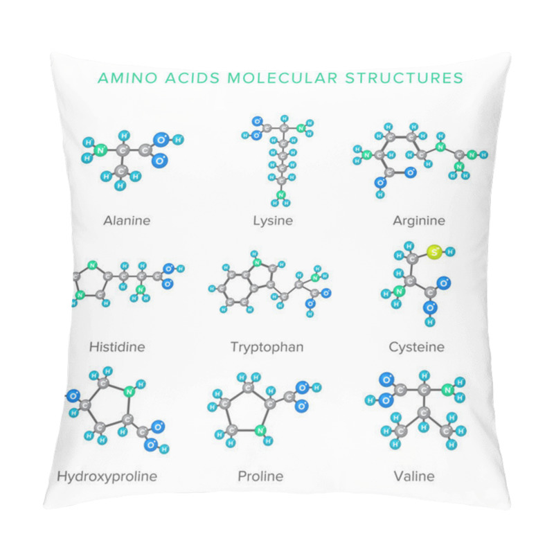 Personality  Vector Molecular Structures Of Amino Acids Isolated On White Set Pillow Covers