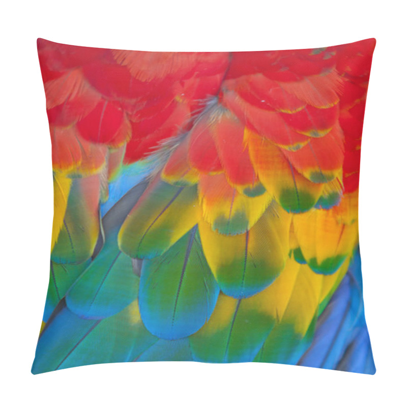 Personality  Scarlet Macaws Pillow Covers