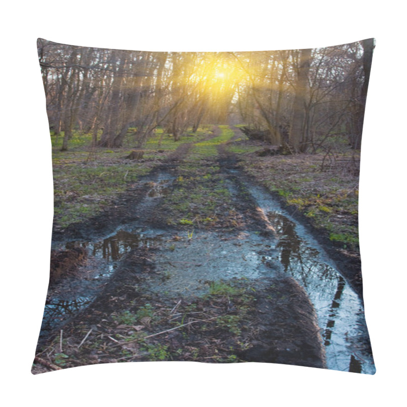 Personality  Lack Of Roads In Forest Pillow Covers