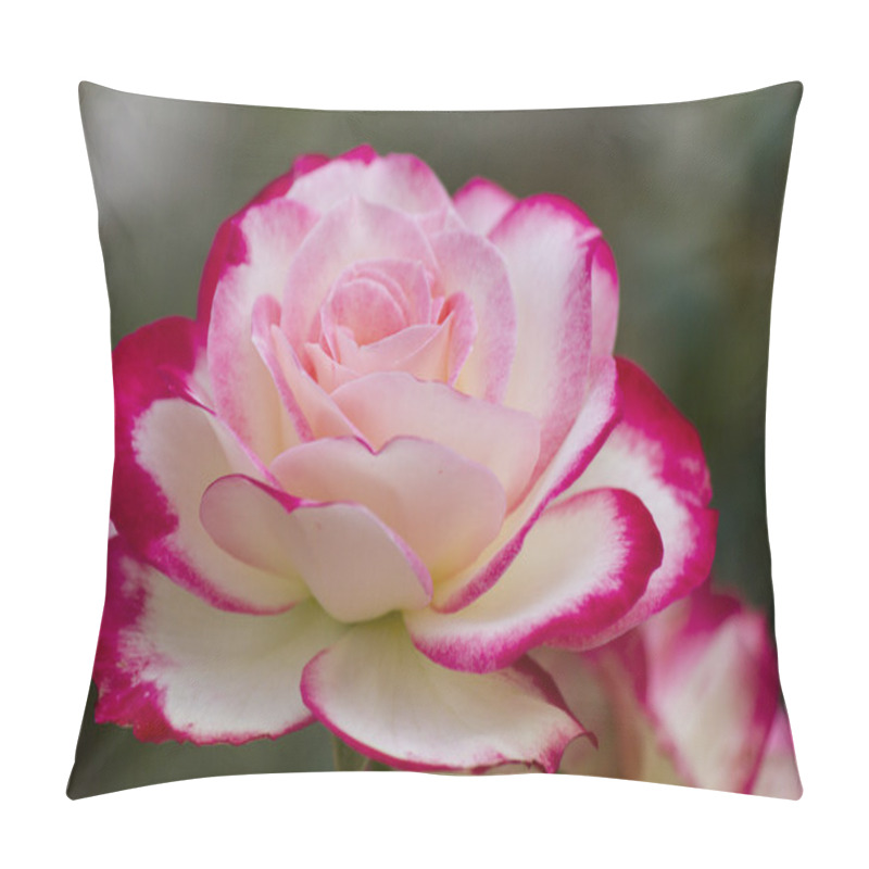 Personality  Roses In The Garden Pillow Covers