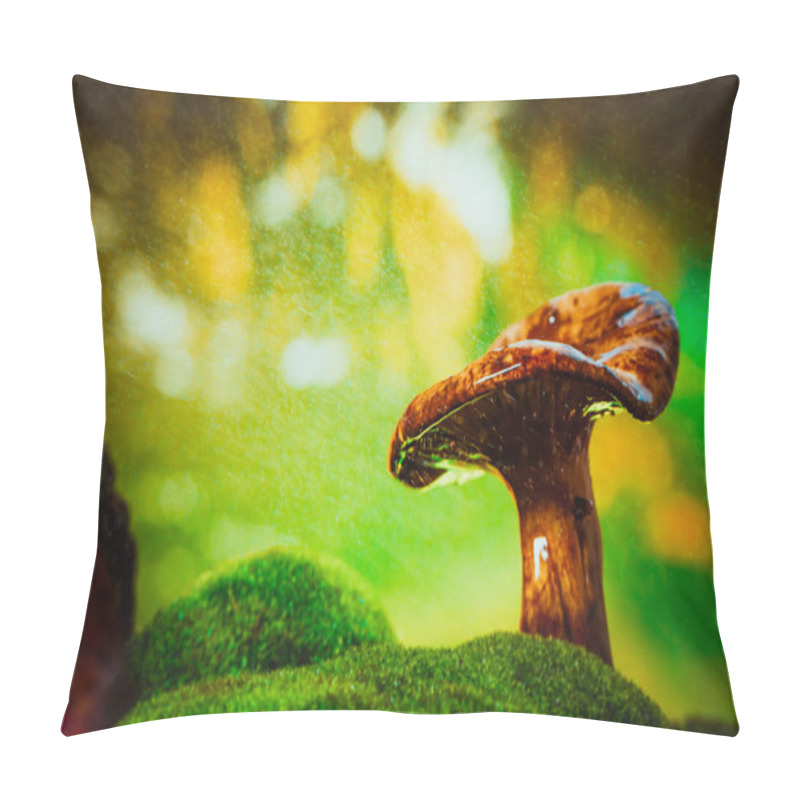 Personality  Fresh Chanterelle Mushroom Growing In The Woods On Moss Under Rain. Pillow Covers