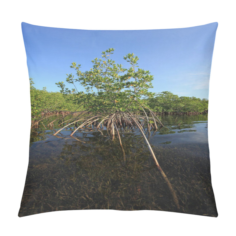 Personality  Mangrove Trees In Shallow Water In Card Sound, Florida. Pillow Covers