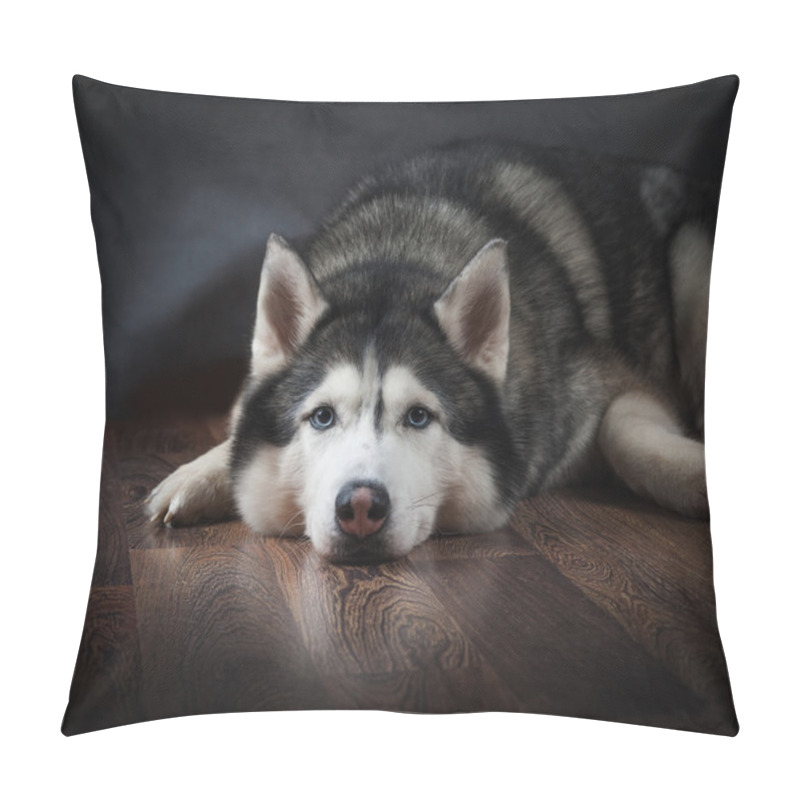 Personality  Siberian Husky Laying Sad Pillow Covers