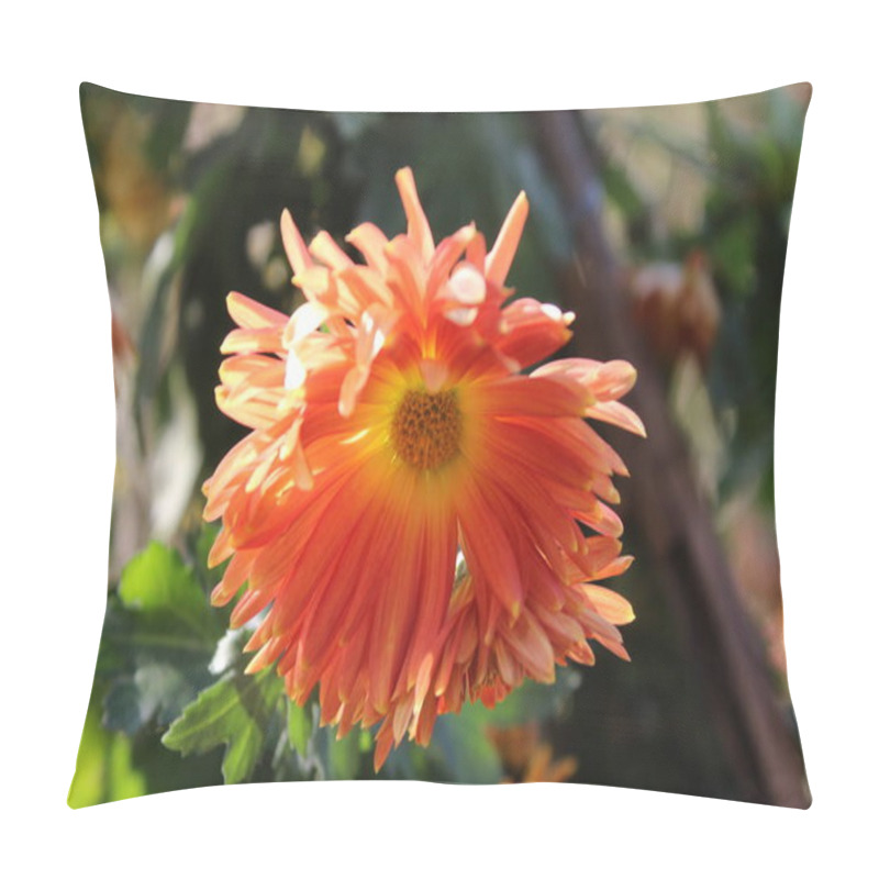 Personality  Chrysanthemum, Spoon Mums Or Chrysanths Pillow Covers