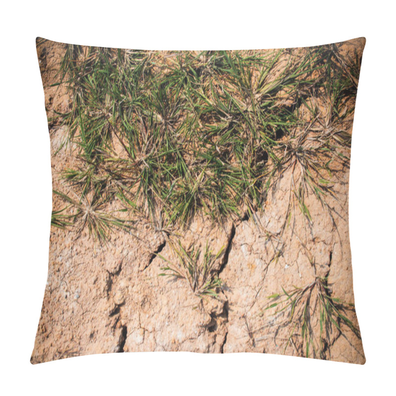 Personality  Texture Dying Grass And Cracked Earth  Pillow Covers