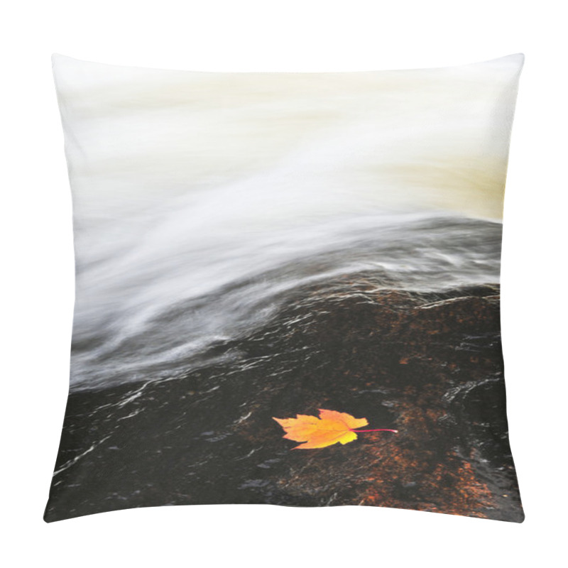 Personality  Leaf Floating In River Pillow Covers