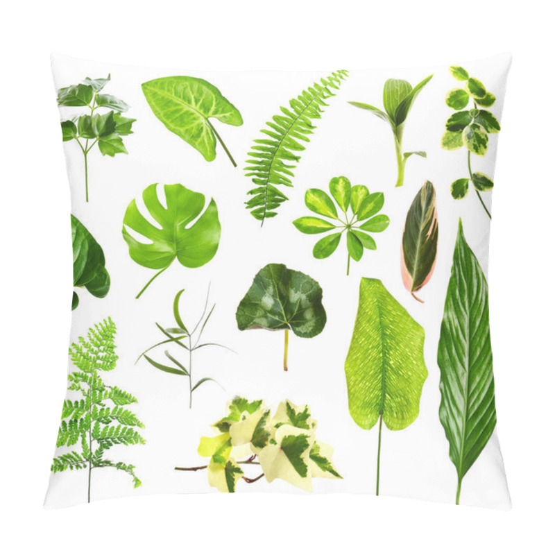 Personality  Different Houseplants Leaves Pillow Covers