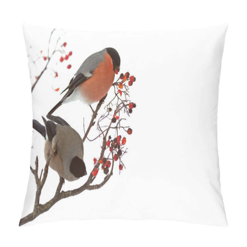 Personality  Eurasian Bullfinch Male Eating Berries In An Oak Forest Under A Heavy Snowfall In January Pillow Covers