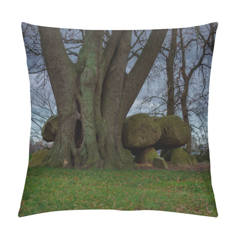 Personality  Low Angle Shot Of A Tree And A Prehistoric Dolmen Or Hunebed On A Cloudy Day In The Netherlands Pillow Covers