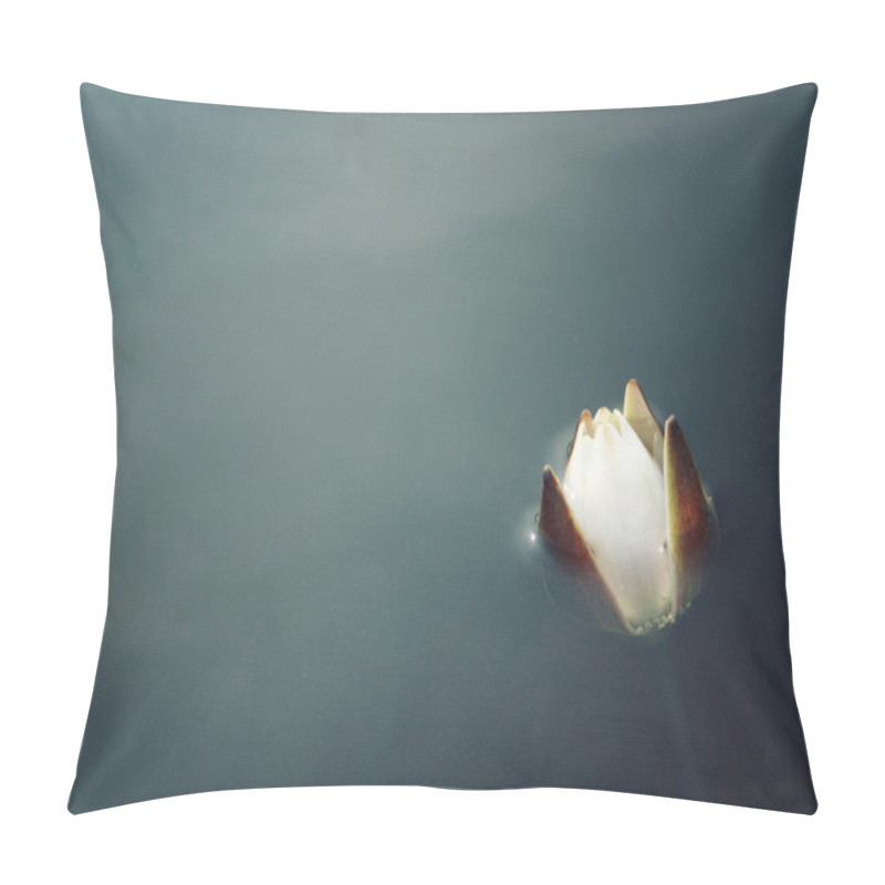 Personality  Water Lily Bloom In The Lake. Kenozersky Park. Pillow Covers