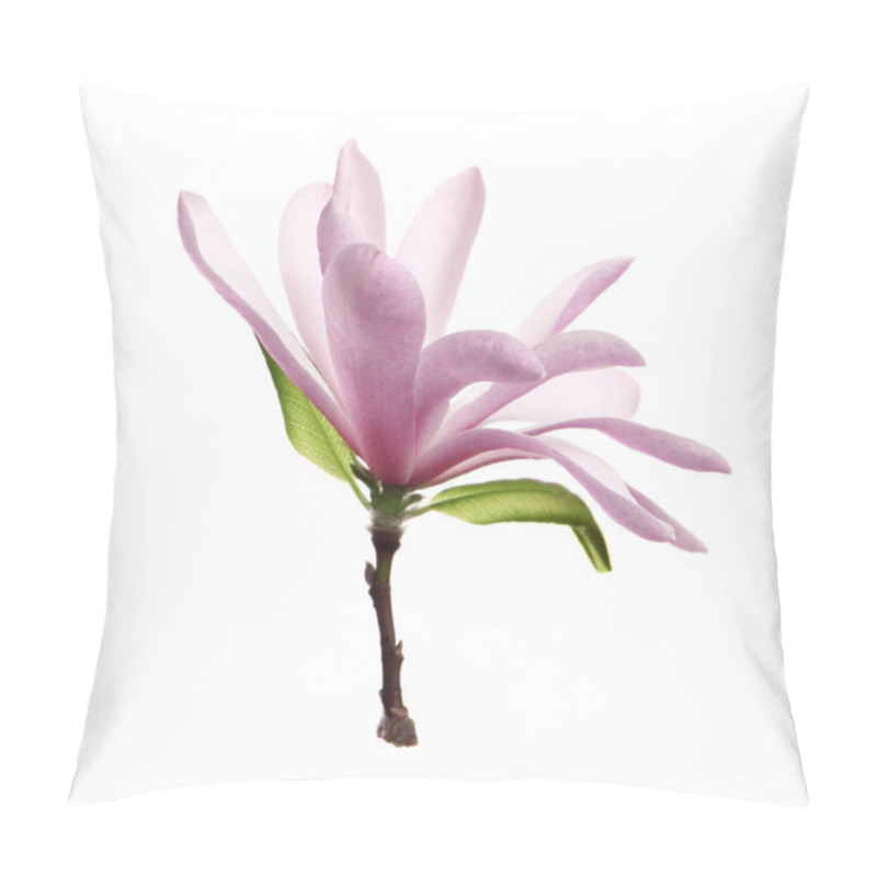 Personality  Beautiful Pink Magnolia Flower With Green Leaves Isolated On White Pillow Covers