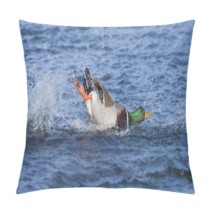 Personality  Mallard Drake Crashlanding Pillow Covers